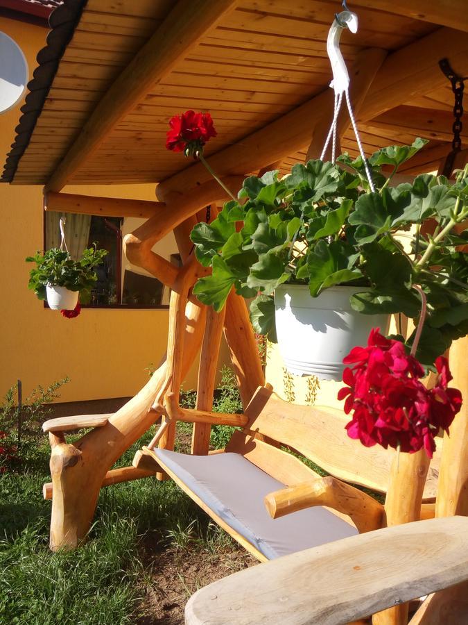 Home Away From Home Gura Rîului 外观 照片